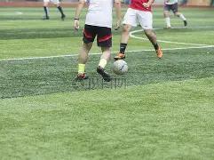 农业绿色转,型助力碳标,签应用,米兰体育官方,米兰体育在线官网,米兰体育线上,米兰体育APP