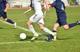 基耶利尼有,望迎来马罗,塔回归,米兰体育官方,米兰体育在线官网,米兰体育线上,米兰体育APP